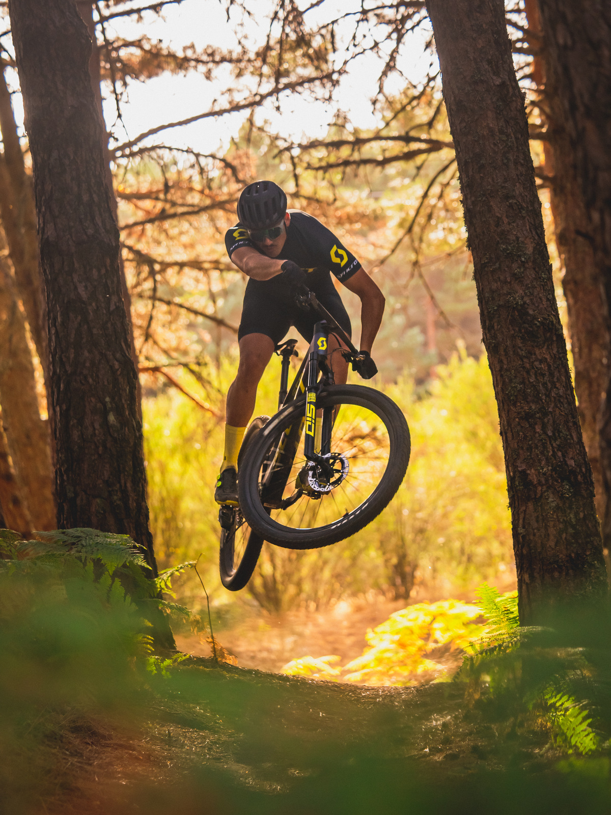 Dentro del bosque · SCOTT Spark