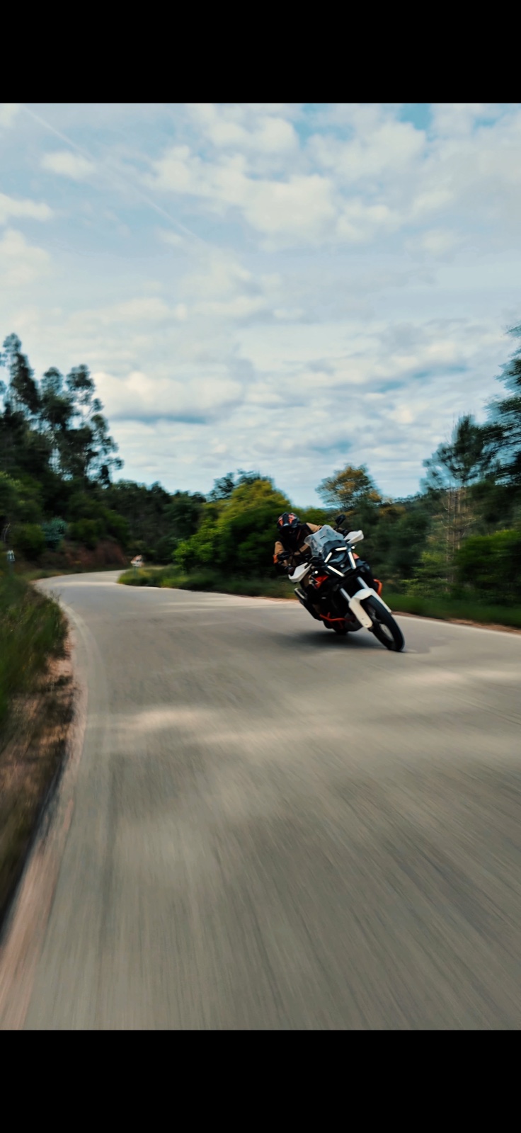 Motorista inclinando una moto en una curva de carretera rodeada de vegetación.