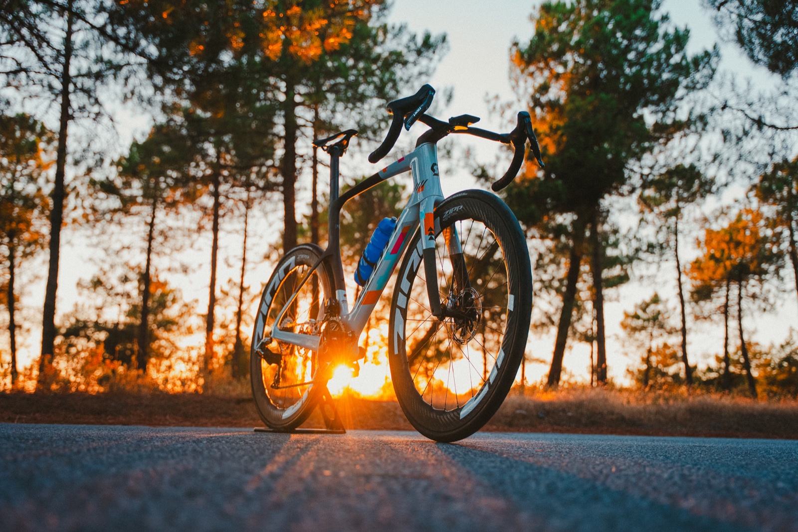 Bicicleta de carretera azul y naranja sobre el asfalto, con el sol bajo entre los pinos.